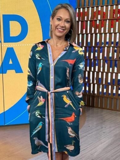 Good Morning America Ginger Zee Birds Print Shirtdress